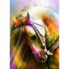 Horse - Full Round Diamond Painting