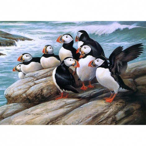 Puffin Birds - Full Round Diamond Painting