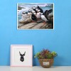 Puffin Birds - Full Round Diamond Painting
