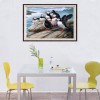 Puffin Birds - Full Round Diamond Painting