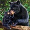 Bear - Full Round Diamond Painting