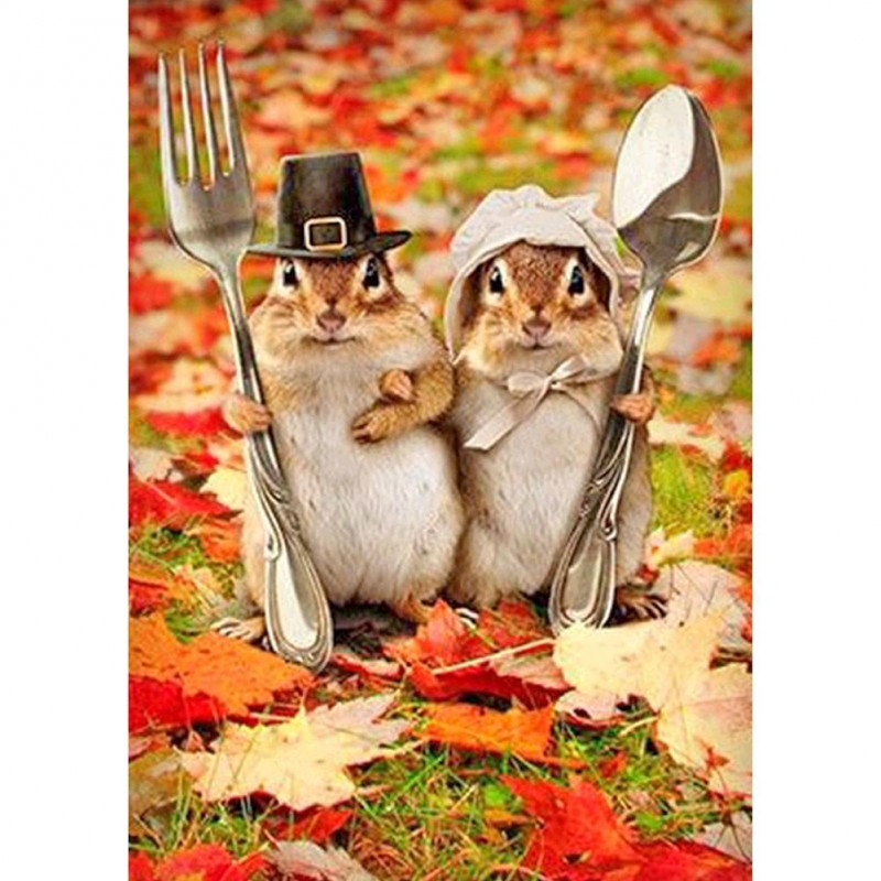 Squirrel - Full Roun...