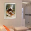Horses - Partial Round Diamond Painting