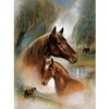 Horses - Partial Round Diamond Painting