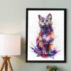 Cat - Full Round Diamond Painting