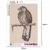 Falcon Bird - Full Round Diamond Painting
