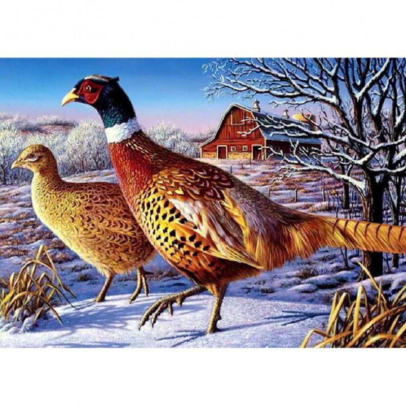 Winter - Full Round ...