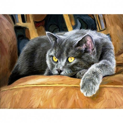 Cat - Full Square Diamond Painting(40x50cm)