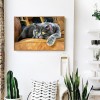 Cat - Full Square Diamond Painting(40x50cm)