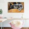 Cat - Full Square Diamond Painting(40x50cm)