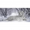 Tiger - Full Round Diamond Painting(90*45cm)