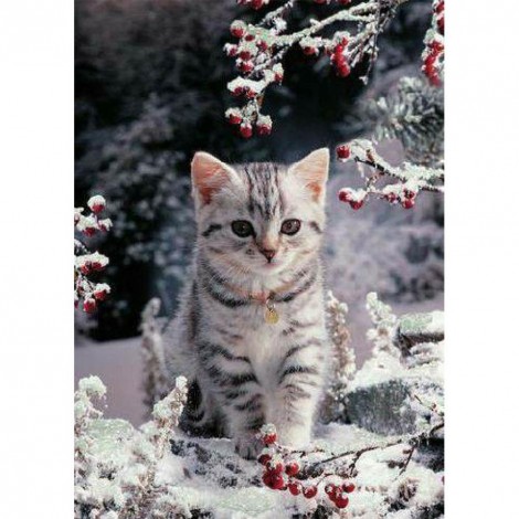 Cat - Full Round Diamond Painting