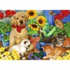 Cat and Dog - Full Round Diamond Painting
