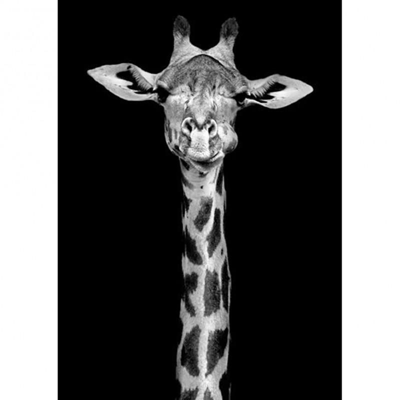 Giraffe- Full Round ...
