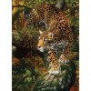 Leopard - Full Round Diamond Painting
