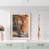 Tiger - Full Round Diamond Painting