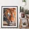 Tiger - Full Round Diamond Painting