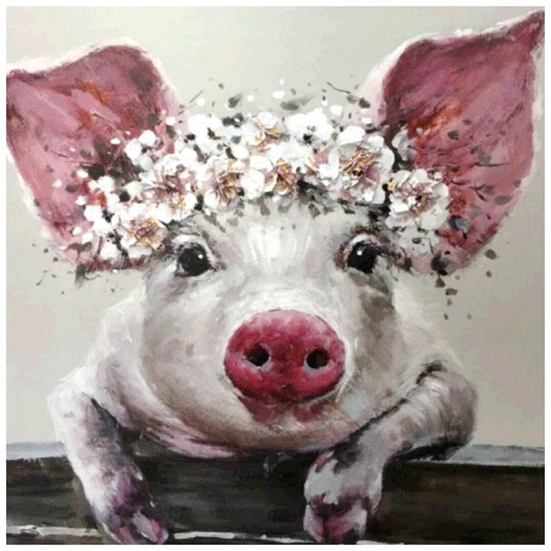 Flower Pig - Full Ro...