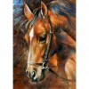 Horse  - Full Round Diamond Painting