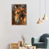 Horse  - Full Round Diamond Painting