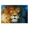 Lion - Partial Round Diamond Painting