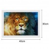 Lion - Partial Round Diamond Painting