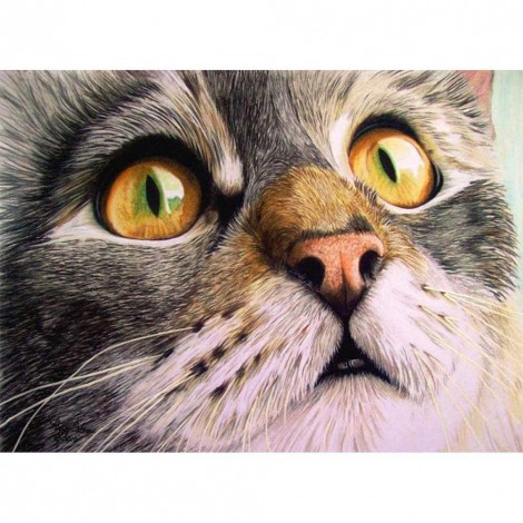 Cat - Full Round Diamond Painting