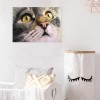 Cat - Full Round Diamond Painting