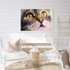 Cat - Full Round Diamond Painting