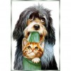 Dog And Cat - Full Round Diamond Painting