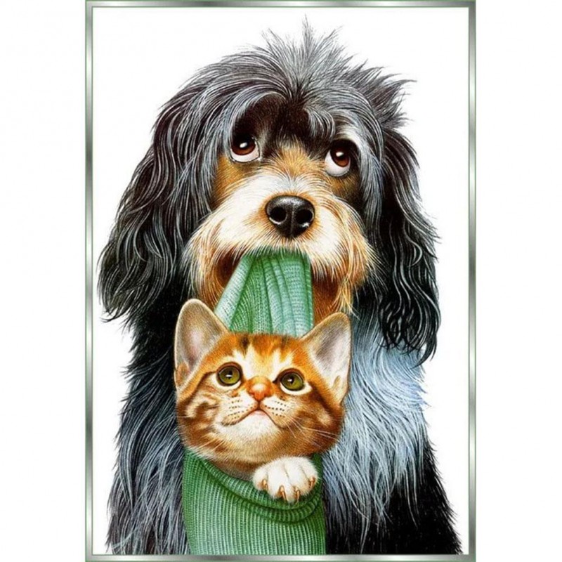 Dog And Cat - Full R...