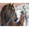 Horse  - Full Round Diamond Painting