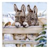 Little Donkey - Full Round Diamond Painting