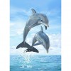 Dolphin - Full Round Diamond Painting