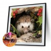 Hedgehog - Full Round Diamond Painting