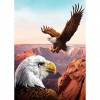 Sea Eagle - Full Round Diamond Painting