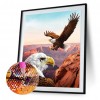 Sea Eagle - Full Round Diamond Painting