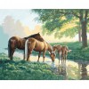 Drinking Horse - Full Round Diamond Painting