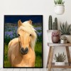 Horse - Full Round Diamond Painting