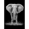 Elephant- Full Round Diamond Painting