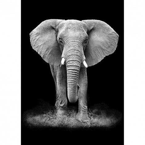 Elephant- Full Round Diamond Painting