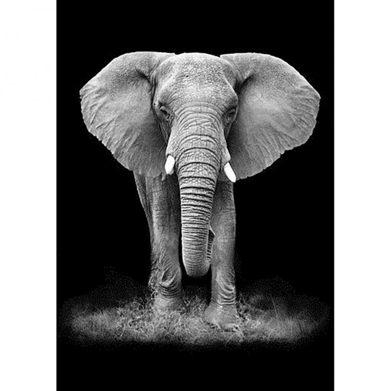 Elephant- Full Round...