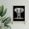 Elephant- Full Round Diamond Painting