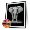 Elephant- Full Round Diamond Painting