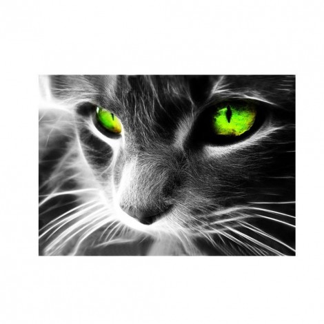 Green Eye Cat - Partial Round Diamond Painting