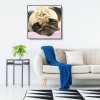 Cute Dog - Full Round Diamond Painting