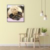 Cute Dog - Full Round Diamond Painting
