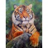Tiger - Full Round Diamond Painting