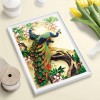 Peacock - Full Square Diamond Painting(40*50cm)