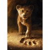 Lion - Full Round Diamond Painting